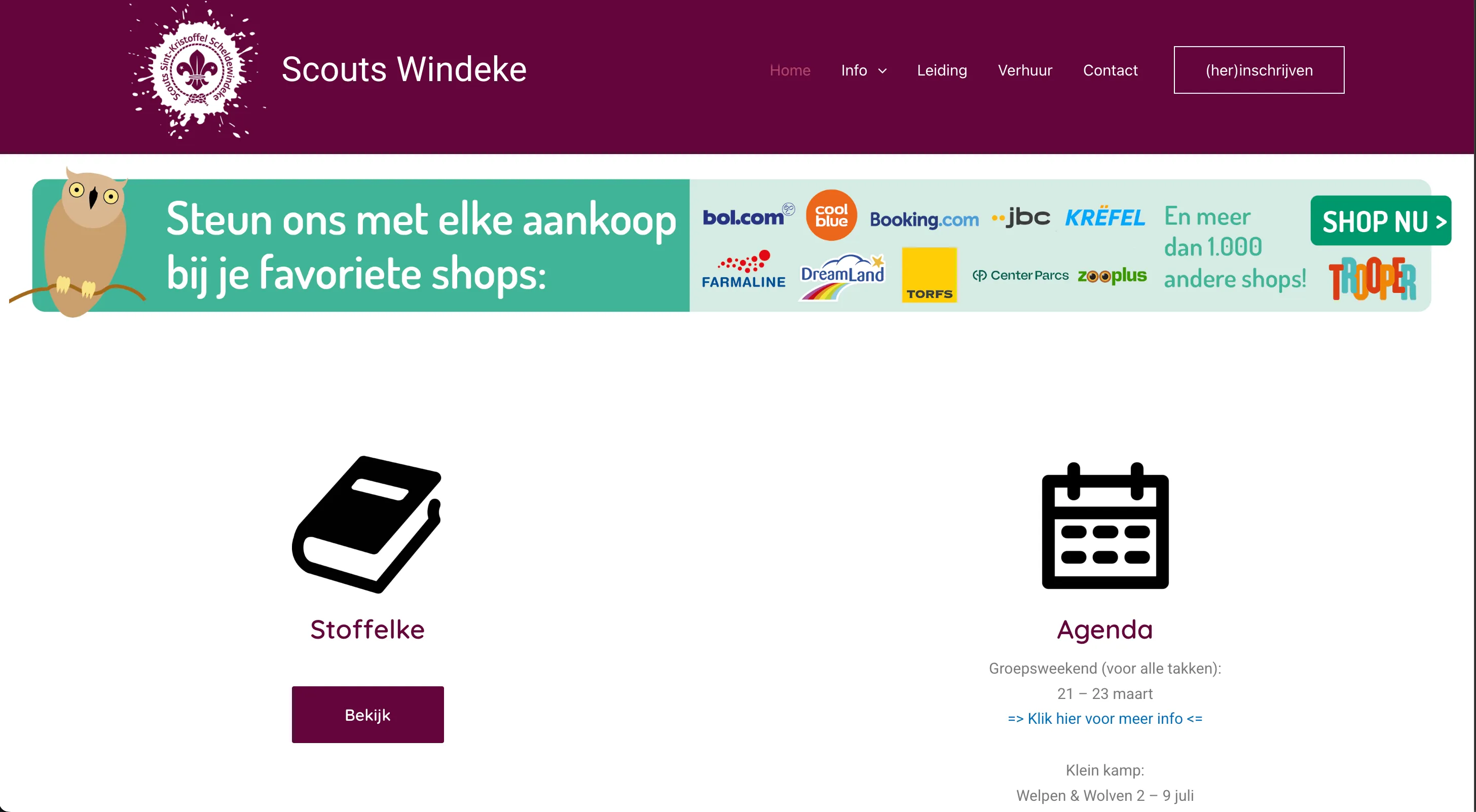 Screenshot of the Website Scouts homepage