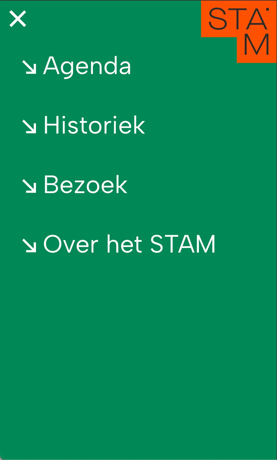 Screenshot of the STAM project